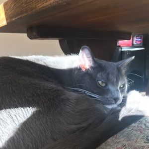 Meet your Posher, Mia